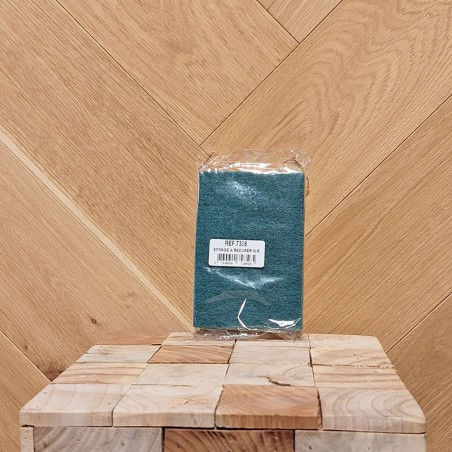 ÉPONGE A RÉCURER GM