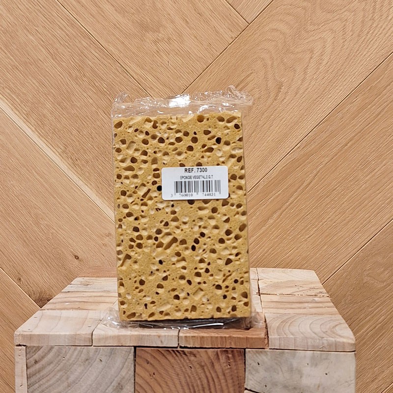 ÉPONGE VÉGÉTALE GT